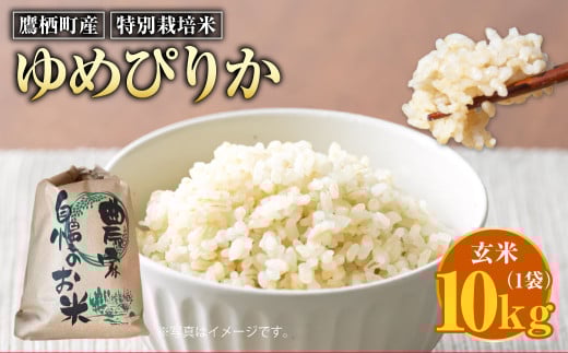 【令和7年産】 ゆめぴりか (玄米) 10kg 北海道 鷹栖町 たかすのおむすび 米 コメ ご飯 玄米 お米北海道鷹栖町42000米・パン白米