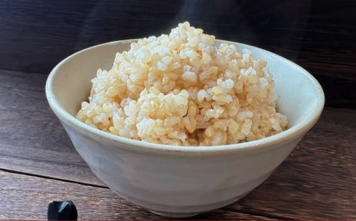 【令和7年産】 ゆめぴりか (玄米) 10kg×2袋 20kg 北海道 鷹栖町 たかすのおむすび 米 コメ ご飯 玄米 お米北海道鷹栖町76000米・パン白米