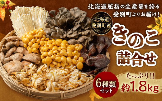 きのこ詰合せ (6種類) セット 【B05201】北海道愛別町13000野菜・きのこきのこ