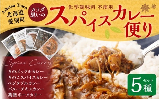 カラダ思いのスパイスカレー便り 5種セット 手作りカレー レトルトカレー スパイスカレー カレー 冷蔵北海道愛別町15000鍋セット・総菜・加工食品総菜