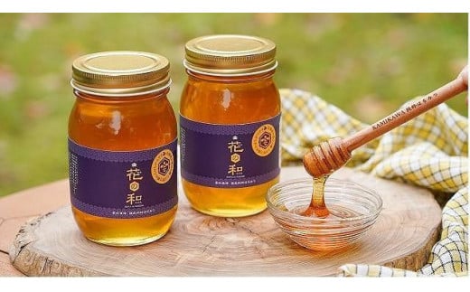 北海道上川町産純粋はちみつ シナの木(菩提樹)600g×2本セット【 はちみつ シナの木 北海道 上川町 森本金物店 純粋 ハニー 蜂蜜 天然 国産 ギフト プレゼント 料理用 デザート用 健康