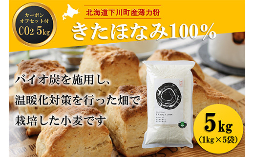 kC쒬Y͕قȂ100% 5kg oCIY{p J[{EItZbgt F4G-0199kC쒬15000āEpp