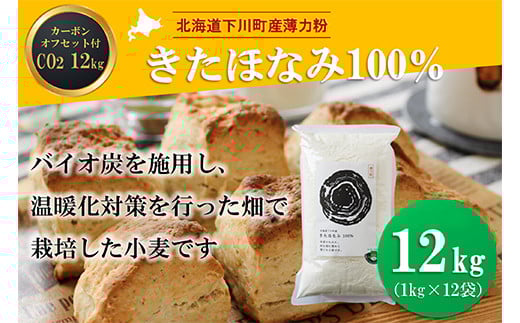 kC쒬Y͕قȂ100% 12kg oCIY{p J[{EItZbgt F4G-0200kC쒬31000āEpp