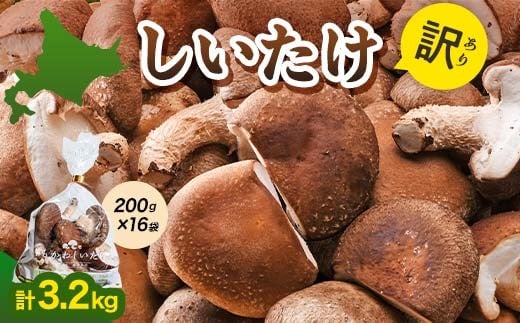 y2026N2z y`Ȃǂ̖󂠂iz3.2kgi200g×16܁j  F4G-0268kC쒬12000؁Ê̂