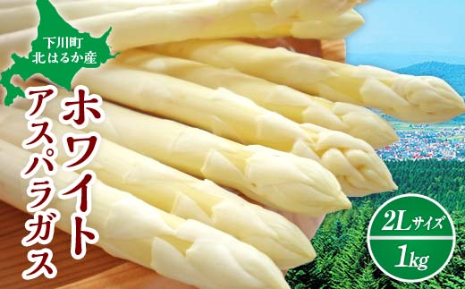 【先行予約】令和8年産 ホワイトアスパラガス(2Lサイズ) 1kg アスパラ 野菜 やさい ふるさと 納税 国産 北海道産 北海道 下川町 F4G-0285北海道下川町11000野菜・きのこその他 野菜