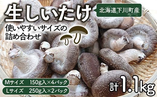yg₷TCY̋lߍ킹z1,1kg MTCY(150g×4pbN) LTCY(250g×2pbN)   ő VC^P  ₳ ̋ ӂ邳 [ Y kCY kC 쒬 F4G-0013
