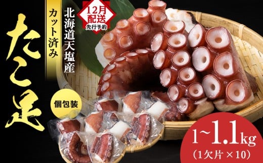 【12月発送先行予約】たこ足(1欠片×10)計1,000〜1,100g<浪岡屋>蛸 タコ 冷凍 海鮮 小分け 北海道産 天塩町産 国産北海道天塩町16500魚介・海産物イカ・タコ・ウニ