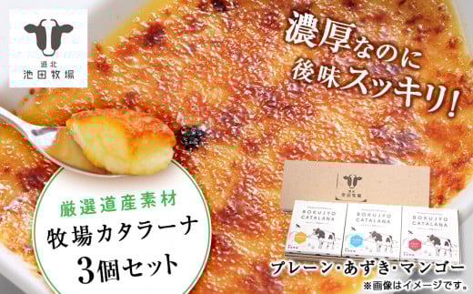 北海道 お菓子 スイーツ カタラーナ 3種 セット アイス 冷凍 ギフト 箱入り北海道浜頓別町10000菓子・スイーツケーキ・カステラ