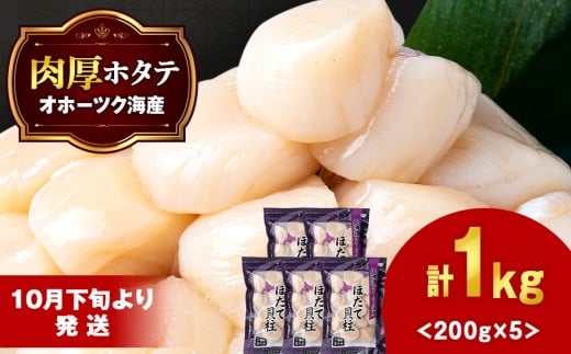 【10月下旬以降発送】 ほたて 貝柱 冷凍 200g(15粒前後)×5パック お取り寄せ 刺身 《横田水産》北海道浜頓別町28000魚介・海産物貝類