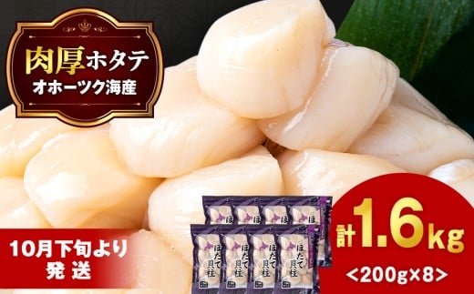 【10月下旬以降発送】ほたて 貝柱 冷凍 200g(15粒前後)×8パック お取り寄せ 刺身 《横田水産》北海道浜頓別町44500魚介・海産物貝類