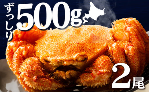 ☆北海道産 毛ガニ 約500g×2尾 セット かに 蟹 毛蟹 冷凍 北海道産 浜頓別町北海道浜頓別町39500魚介・海産物カニ