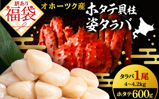 2024N 󂠂  z^eL×p^oZbg kCY Ⓚ{C{^op 4~4.2kgkClڕʒ109000ECYJj