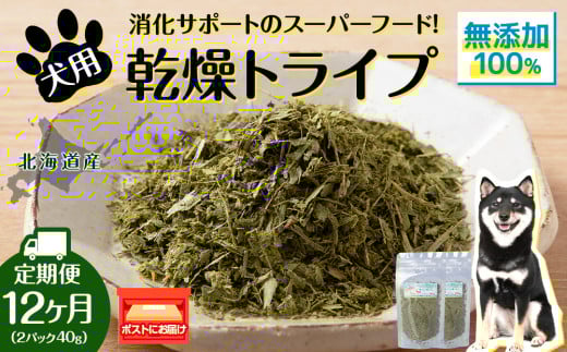 犬 おやつ 鹿肉 無添加 国産 乾燥グリーントライプ 40g (20g×2) 定期便12回 ペット 餌 エサ 浜頓別 北海道北海道浜頓別町42000鍋セット・総菜・加工食品その他 鍋セット・総菜・加工食品