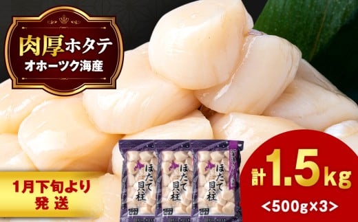【1月末発送】ほたて 貝柱 大粒 冷凍 1.5kg(500g×3パック) お取り寄せ 刺身 《横田水産》北海道浜頓別町44000魚介・海産物貝類