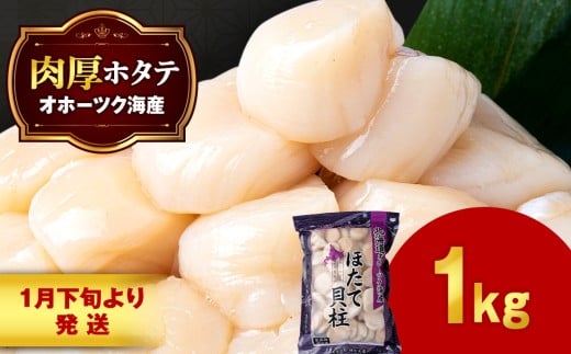 【1月末発送】 ほたて 貝柱 大粒 冷凍 1kg×1パック お取り寄せ 刺身 《横田水産》北海道浜頓別町29500魚介・海産物貝類