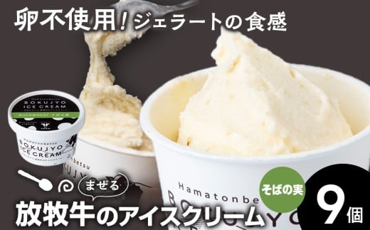 放牧牛 アイスクリーム 9個(そばの実) 【池田牧場】北海道浜頓別町13000菓子・スイーツアイス・ジェラート