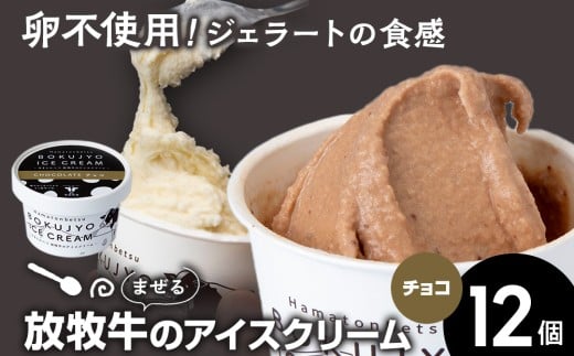 放牧牛 アイスクリーム12個(チョコ) 【池田牧場】北海道浜頓別町18000菓子・スイーツアイス・ジェラート