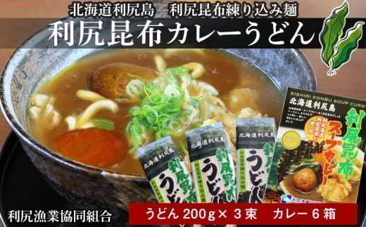 風味豊か!利尻昆布カレーうどんセット《利尻漁業協同組合》北海道利尻富士町18000麺うどん