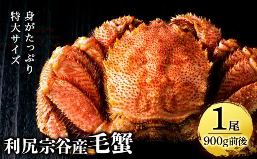 【2025年4月以降発送】北海道 利尻・宗谷産 毛ガニ 特大サイズ(900g前後) 1尾<利尻漁業協同組合>北海道利尻富士町33000魚介・海産物カニ