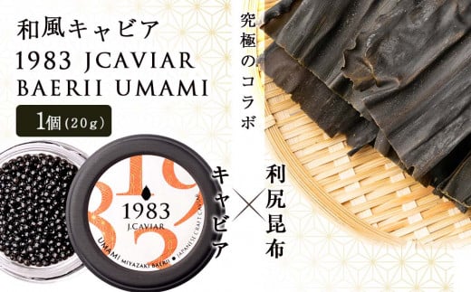 【和風キャビア】1983 JCAVIAR BAERII UMAMI 1個(20g)北海道利尻富士町54000魚介・海産物明太子・その他魚卵