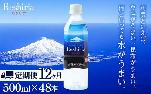yցzVRPCfVA(500ml×48{)×12yցEЕzzkCKxm240000EE~lEH[^[