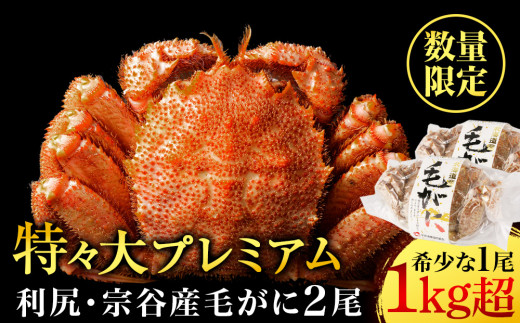 【2025年4月以降発送】北海道 利尻・宗谷産 毛ガニ プレミアム (1kg以上) 2尾セット <利尻漁業協同組合>北海道利尻富士町81500魚介・海産物カニ
