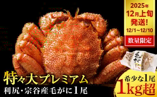 y2025N121`1210z уKj Xi1kgȏj 1 KƋgkCKxm41000ECYJj