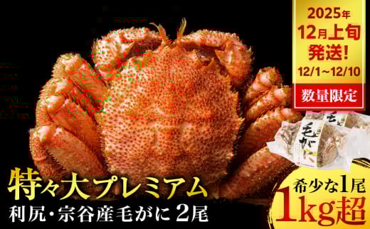 y2025N121`1210z уKj Xi1kgȏj 2 KƋgkCKxm81500ECYJj