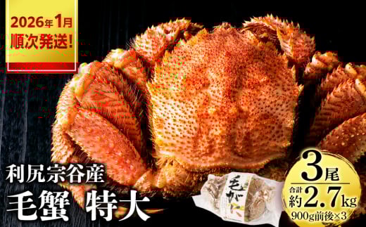 【2026年1月発送】 毛ガニ 特大(900g前後) 3尾<利尻漁業協同組合>北海道利尻富士町98000魚介・海産物カニ