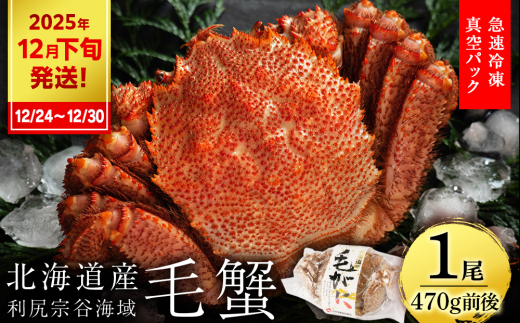 【2025年12月24日〜12月30日発送】 毛ガニ 小サイズ(470g前後) 1尾セット<利尻漁業協同組合>北海道利尻富士町18500魚介・海産物カニ