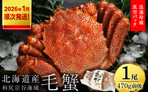 【2026年1月発送】毛ガニ 小サイズ(470g前後) 1尾セット<利尻漁業協同組合>北海道利尻富士町18500魚介・海産物カニ