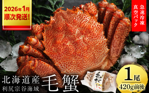 【2026年1月発送】毛ガニ 小小サイズ(420g前後) 1尾<利尻漁業協同組合>北海道利尻富士町16500魚介・海産物カニ