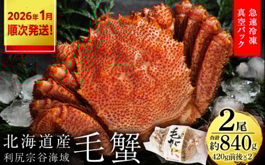【2026年1月発送】毛ガニ 小小サイズ(420g前後) 2尾セット<利尻漁業協同組合>北海道利尻富士町33000魚介・海産物カニ