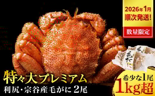 【2026年1月発送】 毛ガニ 特々(1kg以上) 2尾 <利尻漁業協同組合>北海道利尻富士町81500魚介・海産物カニ
