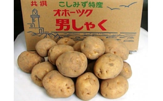 小清水町産男爵 10kg【01002b】北海道小清水町10000野菜・きのこじゃがいも・イモ類