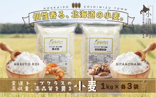 kCY 6kgZbgit1kg×3܁EقȂ1kg×3܁jy01014zkC17000E
