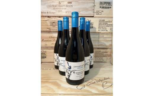 No.54 V gl n C I[XgA j[ TEX EF[Y Y  C 6 { 1 g ZbgkCV90000EAR[C