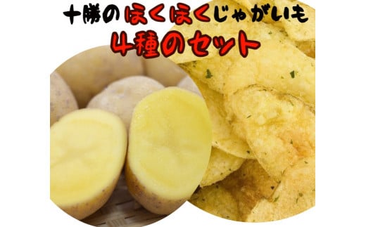 \ED̂ققႪ 4Zbg 10kg y2025N10{菇z [J1-2C]kCD14000؁ÊႪEC