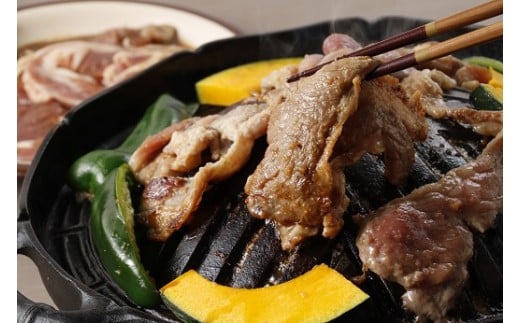 xHׂ݂ɁÎ̃WMXJ[Q1-7B]kCD21000WrG