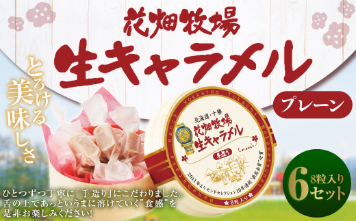 Ԕq L v[ 8×6Zbg L َq  ① [002-0083]kCD19000َqEXC[c̑ aَq