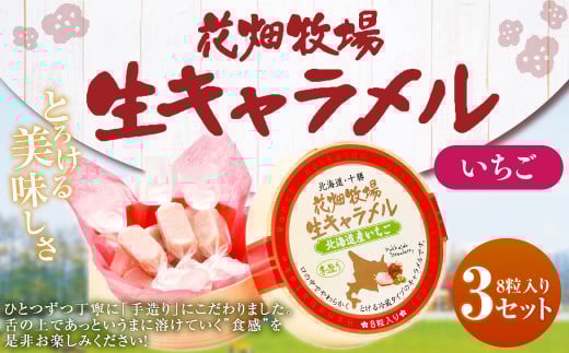 Ԕq L kCY 8×3Zbg L َq    Xgx[ ① [002-0084]kCD12000َqEXC[c̑ aَq