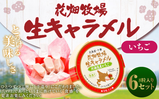 Ԕq L kCY 8×6Zbg L َq    Xgx[ ① [002-0085]kCD19000َqEXC[c̑ aَq