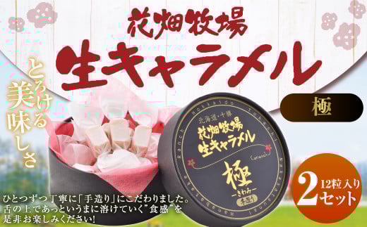 Ԕq L i --j 12×2Zbg L َq  }kJnj[ }kJ݂͂ ① [002-0086]kCD13000َqEXC[c̑ aَq