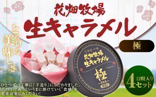Ԕq L i --j 12×4Zbg L َq  }kJnj[ }kJ݂͂ ① [002-0087]kCD21000َqEXC[c̑ aَq