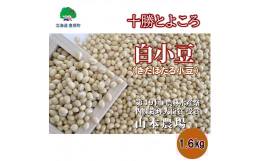 R{_ \Ƃ悱̏ ق鏬 1.6g[5891-0462]kCL11000؁Ê
