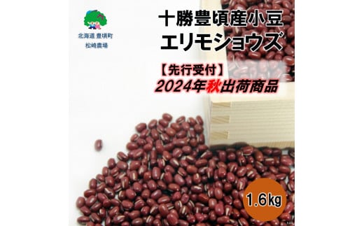 \LY 1.6kg(GVEY)y2024NHoׁzistjm_nkCL10000؁Ê
