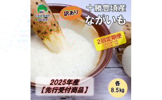 【訳あり】2025年産 十勝豊頃産 ながいも 各8.5kg【2回定期便 2025年12月・2026年2月発送】(先行受付)【植村農場】北海道豊頃町22000野菜・きのこ大根・ニンジン・根菜類