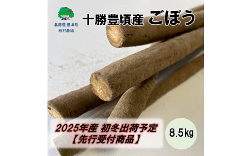\LY ڂ8.5kgy2025N~oׁistjzyA_zkCL11000؁Ê卪EjWEؗ