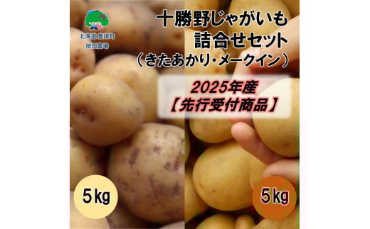 \삶ႪlZbg10kgiE[NCjy2025NYzistjmc_nkCL10000؁ÊႪEC