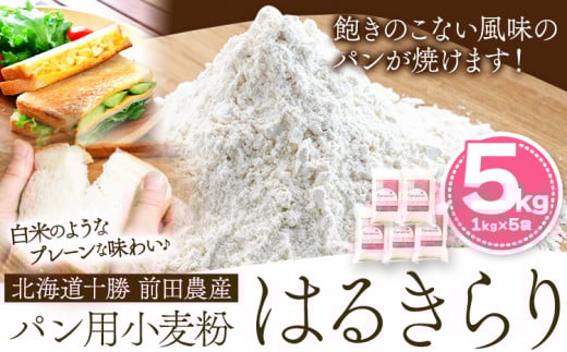 kC\ Oc_Yppu͂邫v5kg(1kg×5) L \zt@[  kC {ʒs60ȓɏoח\(yj)tkC{ʒ15500āEpāEGāE